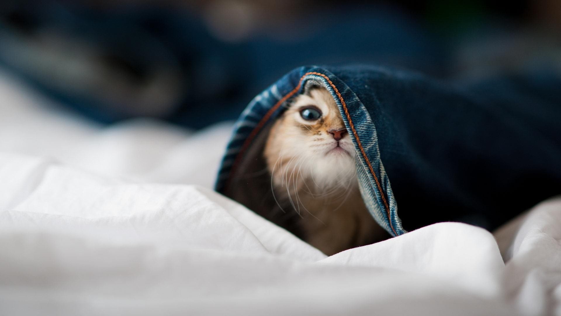 青少年攀岩运动推广与安全指导手册构建路径，青少年攀岩训练