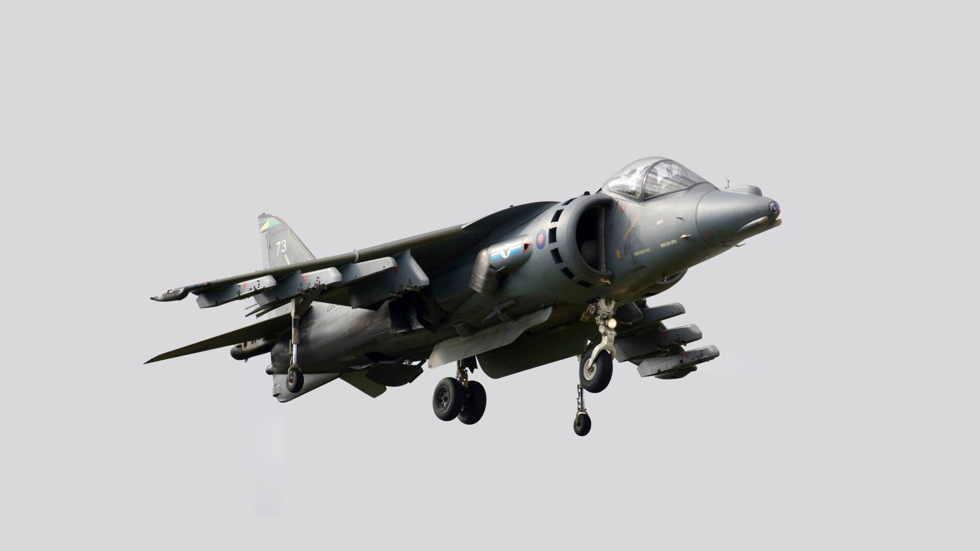 中国女泳队团队氛围积极,中国游泳女队名将