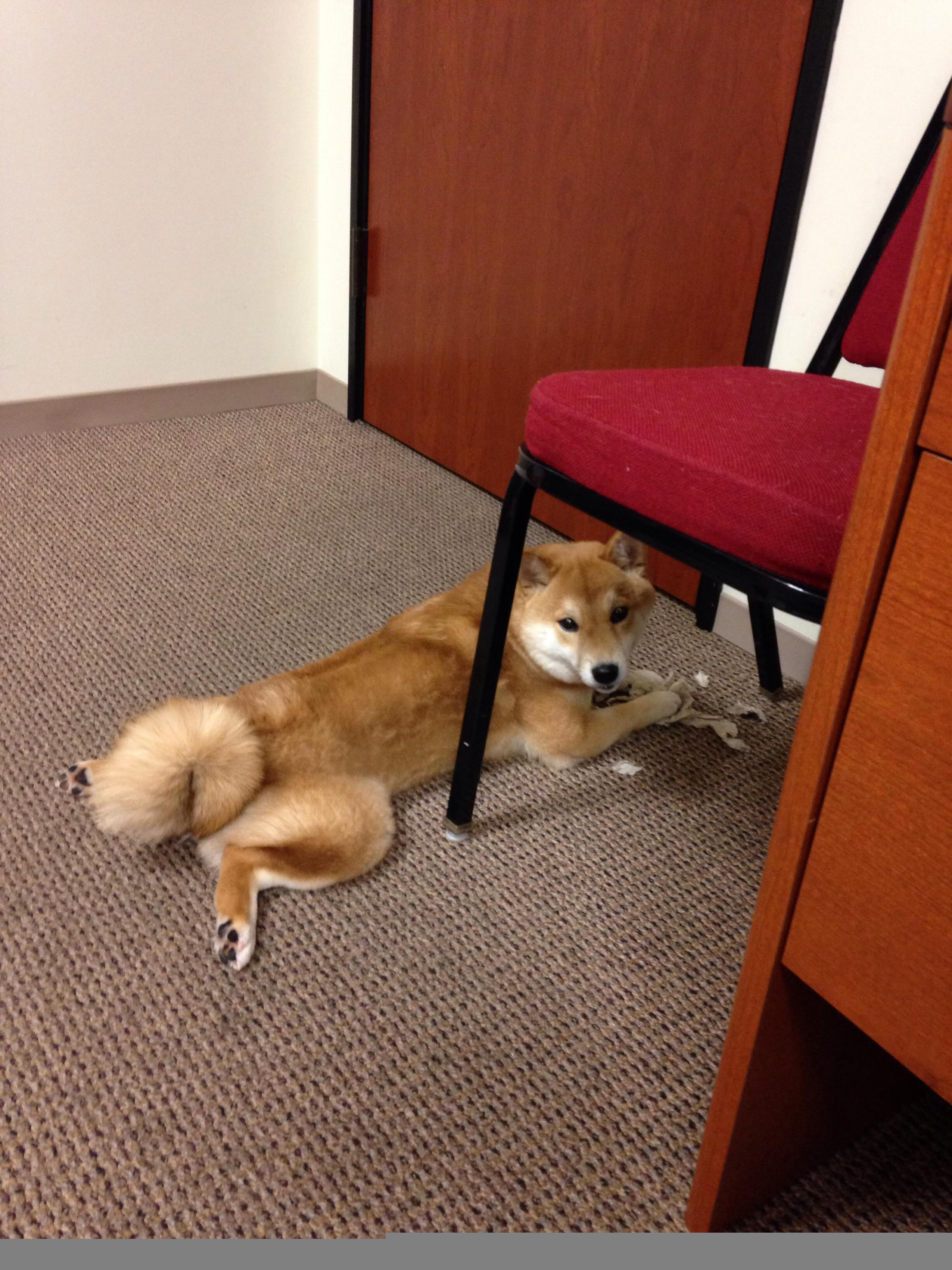 体育新闻中心上线体育内容智能推荐系统,《体育新闻》