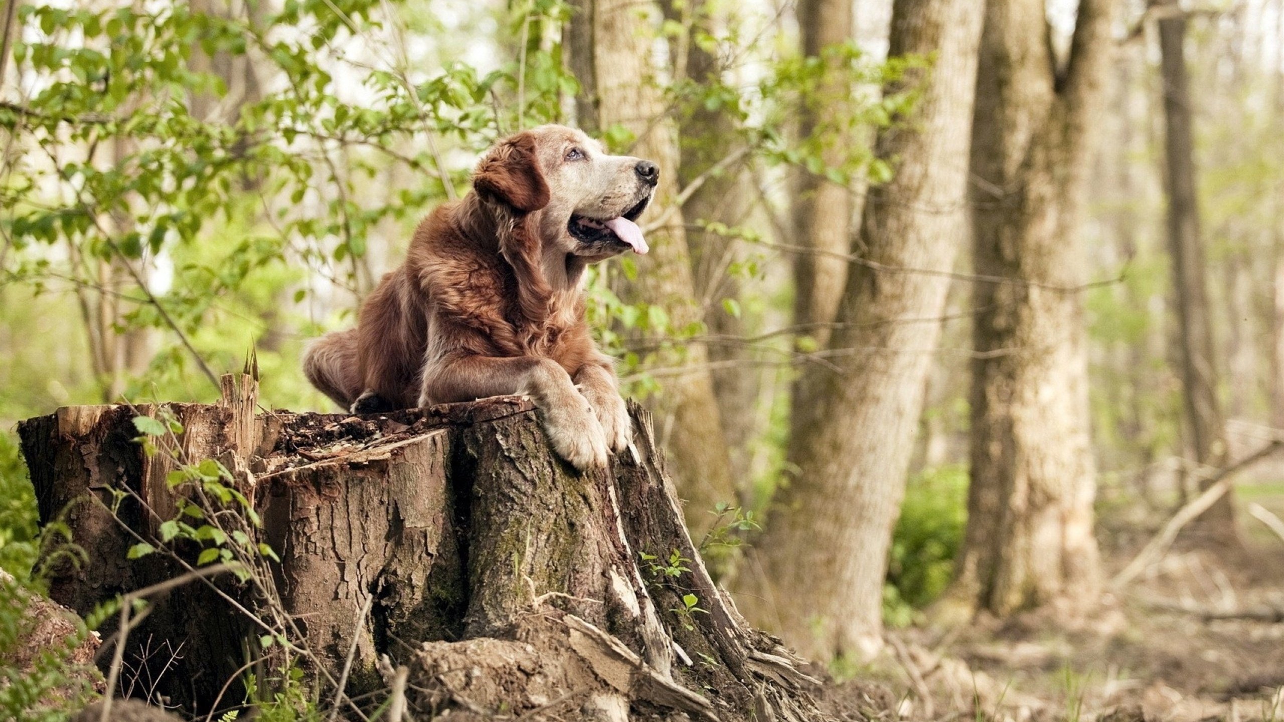 体育新闻中心推动基层体育赛事报道机制建设,体育赛事新闻稿怎么写