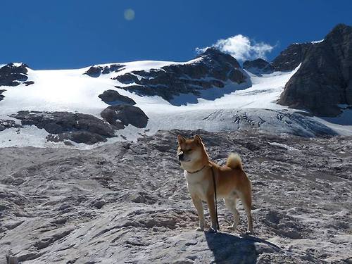 勒沃库森整体控球提升比赛掌控度,勒沃库森首发