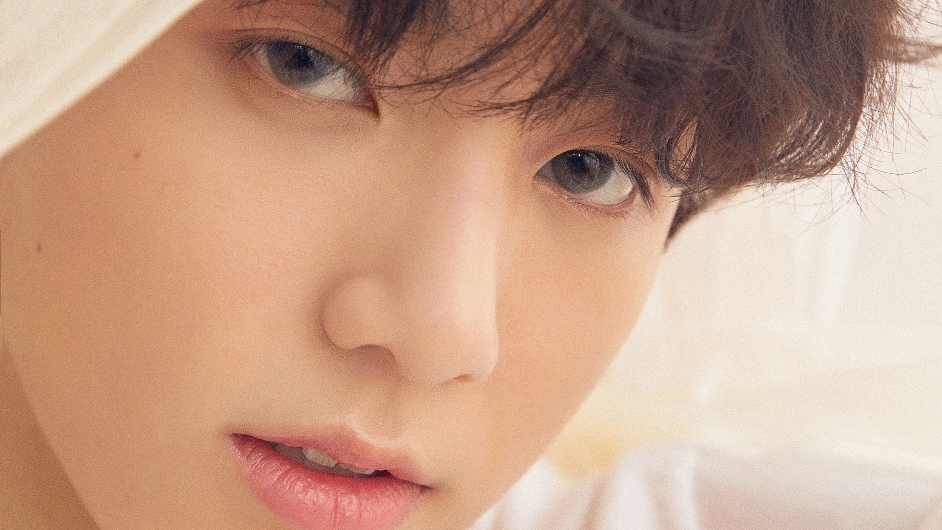 外教引进成效评估标准缺失,外教引入政策