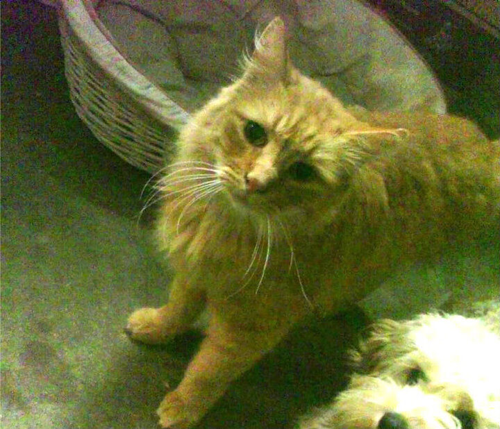 乐鱼体育-逼抢成功率提升至78%，转化效能提升，转化抢劫的条件有哪些