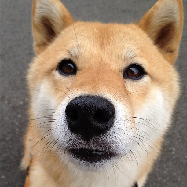 中超球队优化赛前模拟对抗提升比赛执行精度,中超赛前分析