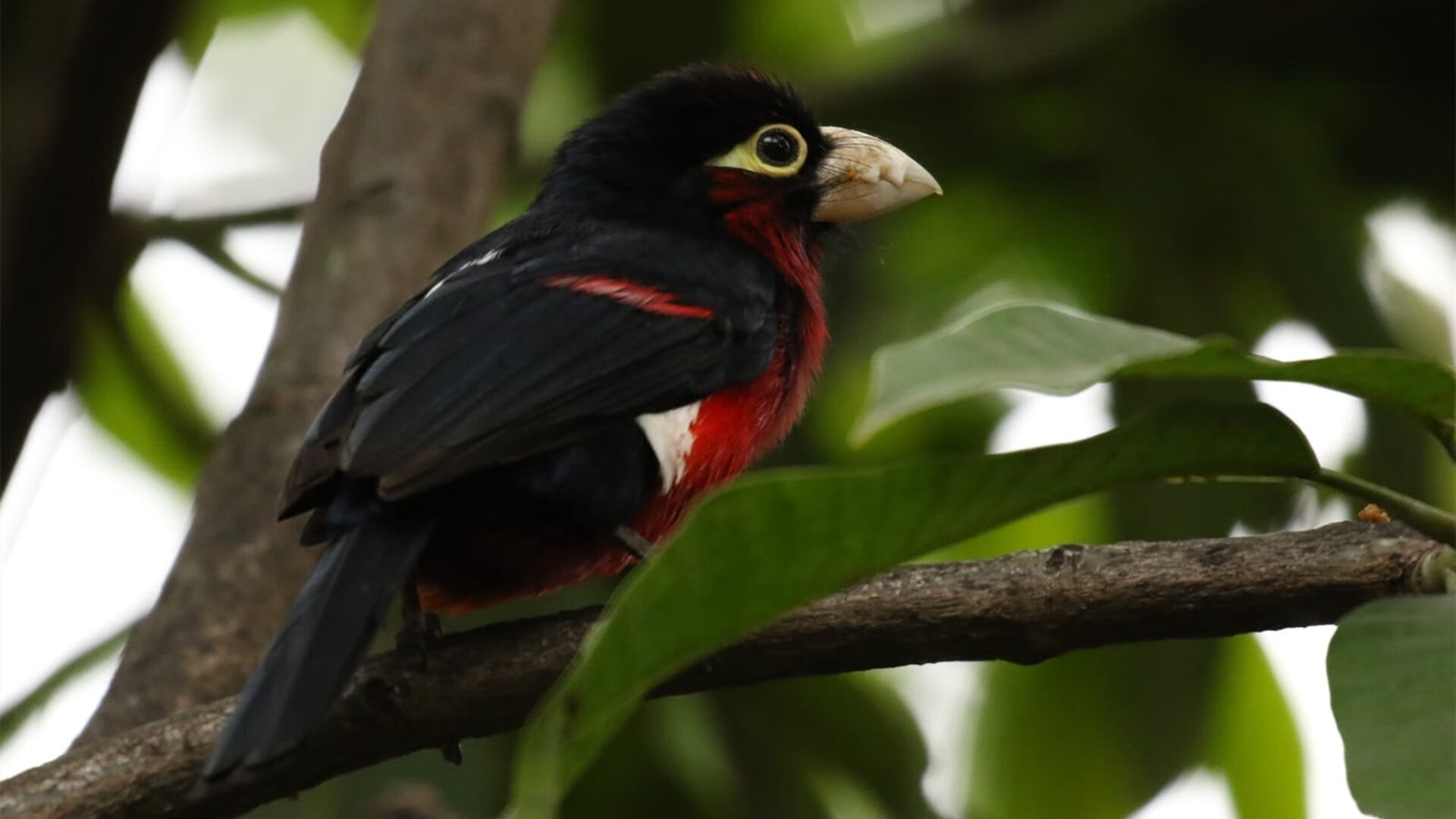 体育新闻中心发布少儿体育培训机构风险提示,体育新闻中心发布少儿体育培训机构风险提示