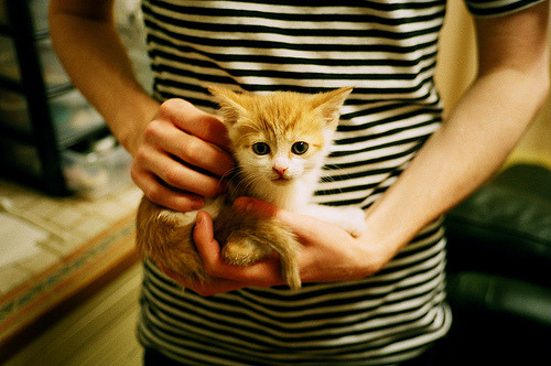 塞尔维亚女篮在欧洲锦标赛中展现强大实力,目标金牌已在望,塞尔维亚女篮欧洲冠军