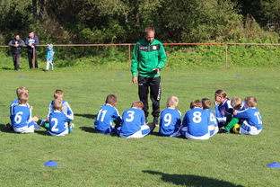 Leyu Sport登录入口-德甲战术大变：变化迅速，精彩纷呈，德甲赛制介绍