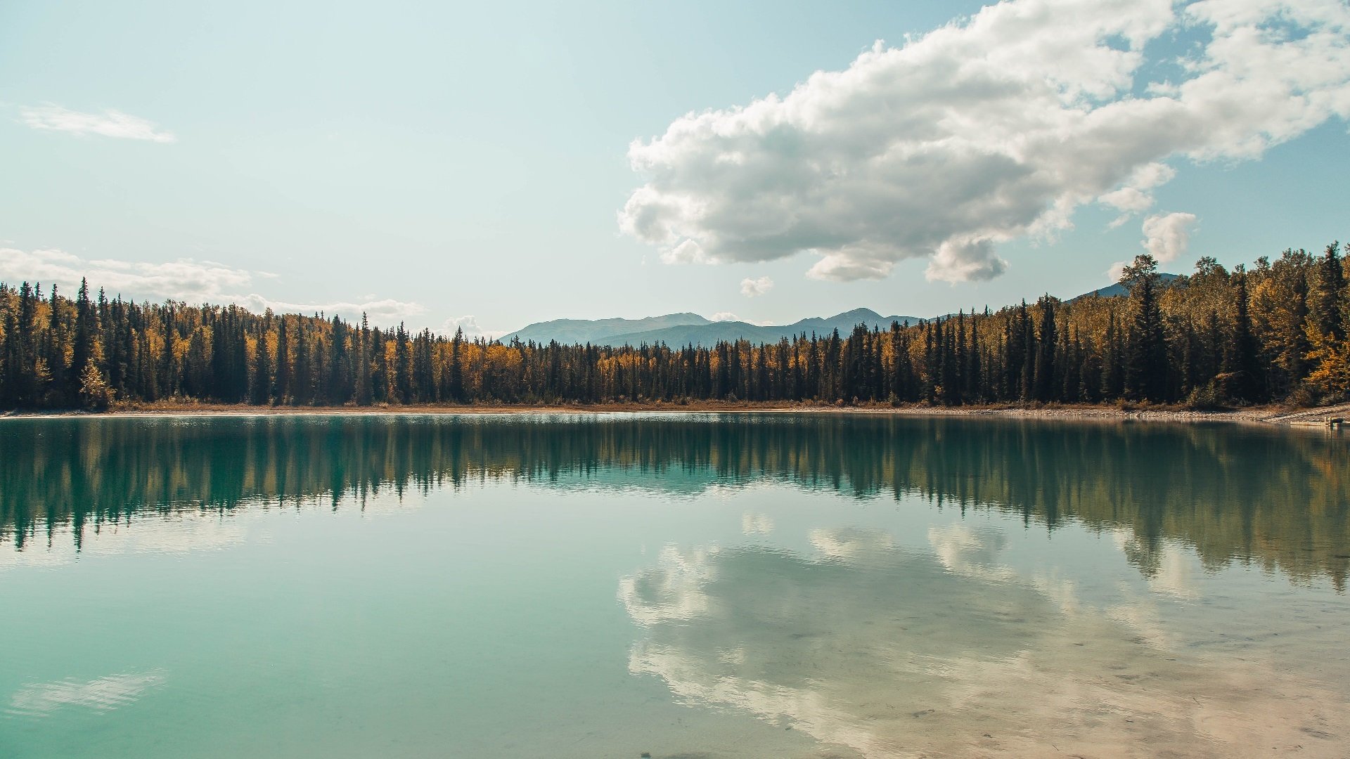 意甲团队配合:默契打造辉煌!,意甲球队的关系及恩怨