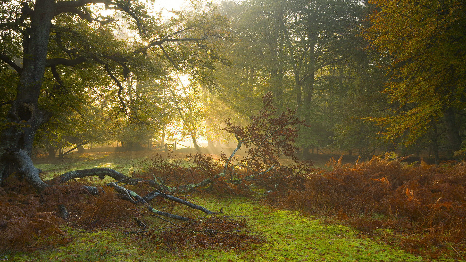 乐鱼电竞· (中国)官方网站-数据部门更新比赛表现模型助力教练组做出更精准战术决策