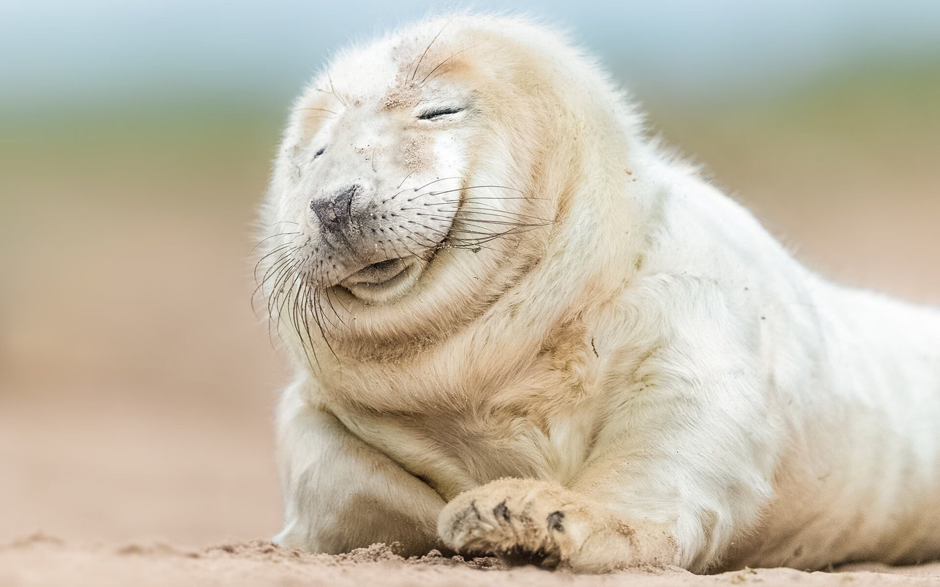 乐鱼vip-男子篮球加强体能与技能双重训练提高比赛表现，篮球体能力量训练方法