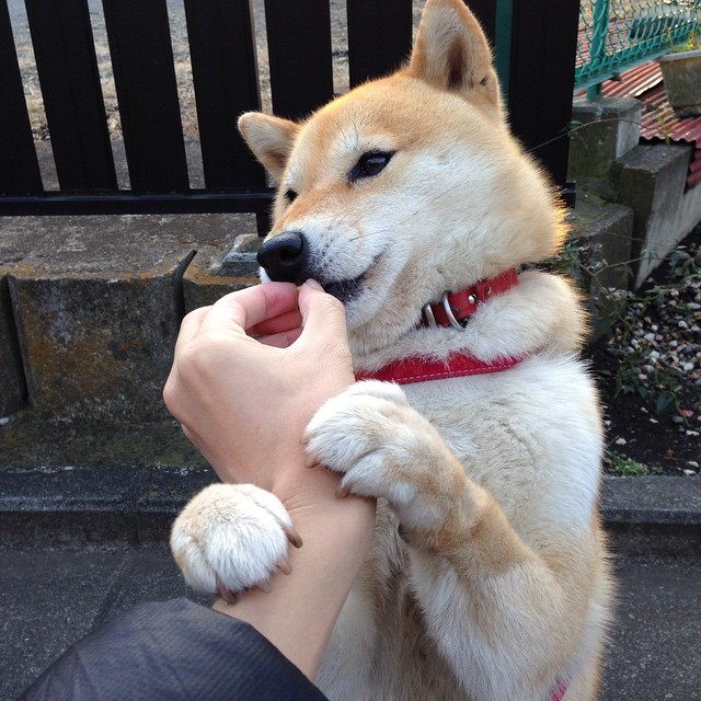 乐鱼vip-篮网调整轮换策略提升替补出场效率，篮网次轮签